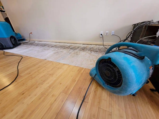 Professional Water Damage Repair technician working in Kathryn, ND